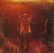 Load image into Gallery viewer, Grin : Grin (LP, Album, Ter)
