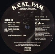 Load image into Gallery viewer, B.Cat.Fam : Freak It (12&quot;, Promo)