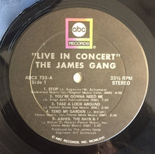 Load image into Gallery viewer, James Gang : Live In Concert (LP, Album, San)