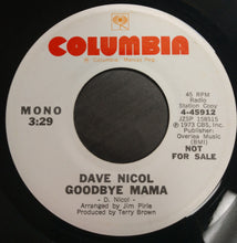 Load image into Gallery viewer, Dave Nicol : Goodbye Mama (7", Single, Promo)