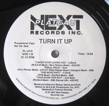 Load image into Gallery viewer, Various : Turn It Up (2x12&quot;, Mixed, Promo)