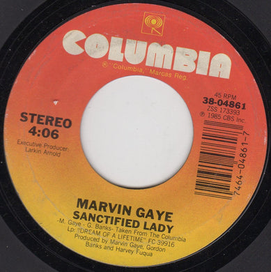 Marvin Gaye : Sanctified Lady (7