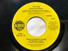 Load image into Gallery viewer, The KJRB Blooms Brothers : The Bloomsday Blues (7", Styrene)