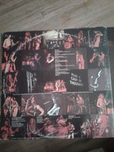 Load image into Gallery viewer, Humble Pie : Performance Rocking The Fillmore (2xLP, RE)