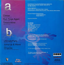 Load image into Gallery viewer, Krosfyah : The Ultimate Party (LP)