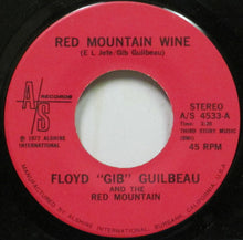Load image into Gallery viewer, Gib Guilbeau And The Red Mountain Jug Band : Red Mountain Wine (7")