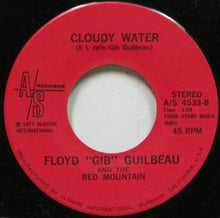 Load image into Gallery viewer, Gib Guilbeau And The Red Mountain Jug Band : Red Mountain Wine (7")