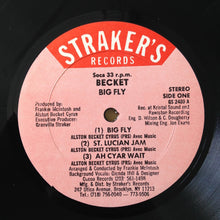 Load image into Gallery viewer, Alston "Beckett" Cyrus : Big Fly (LP)