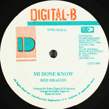 Load image into Gallery viewer, Red Dragon : Mi Done Know / Murder Them (12&quot;)