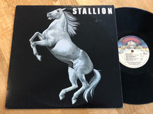 Load image into Gallery viewer, Stallion (2) : Stallion (LP, Album)