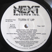 Load image into Gallery viewer, Various : Turn It Up (2x12&quot;, Mixed, Promo)