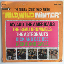Load image into Gallery viewer, Various : Wild, Wild Winter (LP, Album)