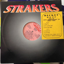 Load image into Gallery viewer, Alston "Beckett" Cyrus : Big Fly (LP)