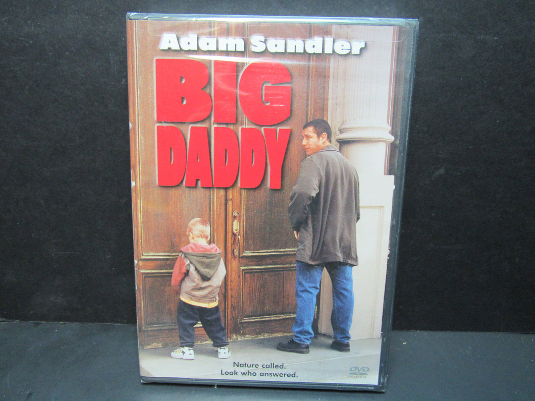 Big Daddy (DVD, 1999) Adam Sandler